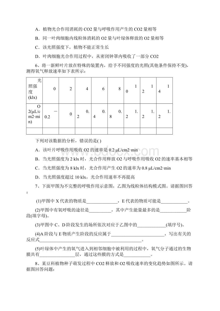 参考高三生物一轮复习 寒假作业4 专题四 光合作用和呼吸作用1Word文档下载推荐.docx_第2页