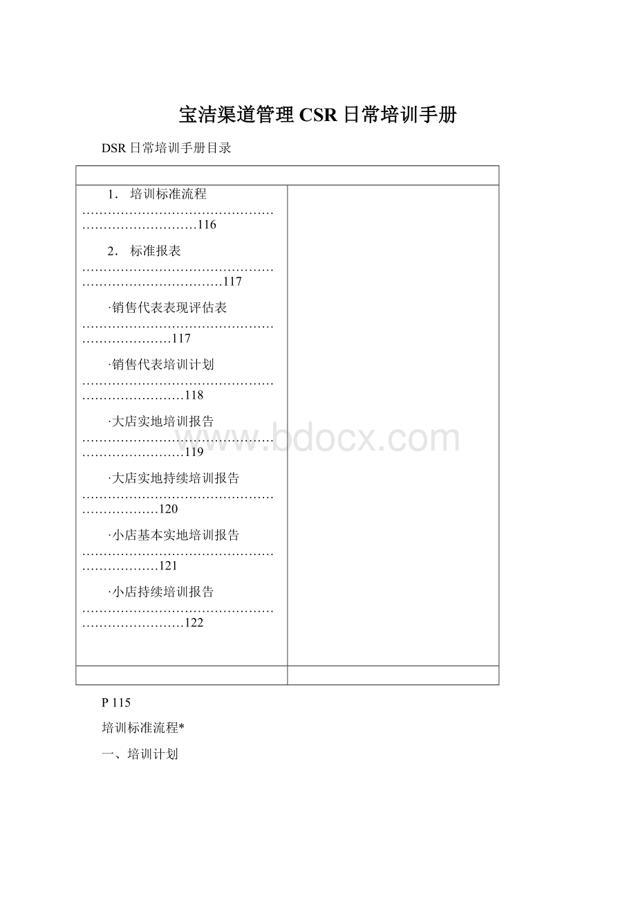 宝洁渠道管理CSR日常培训手册Word下载.docx