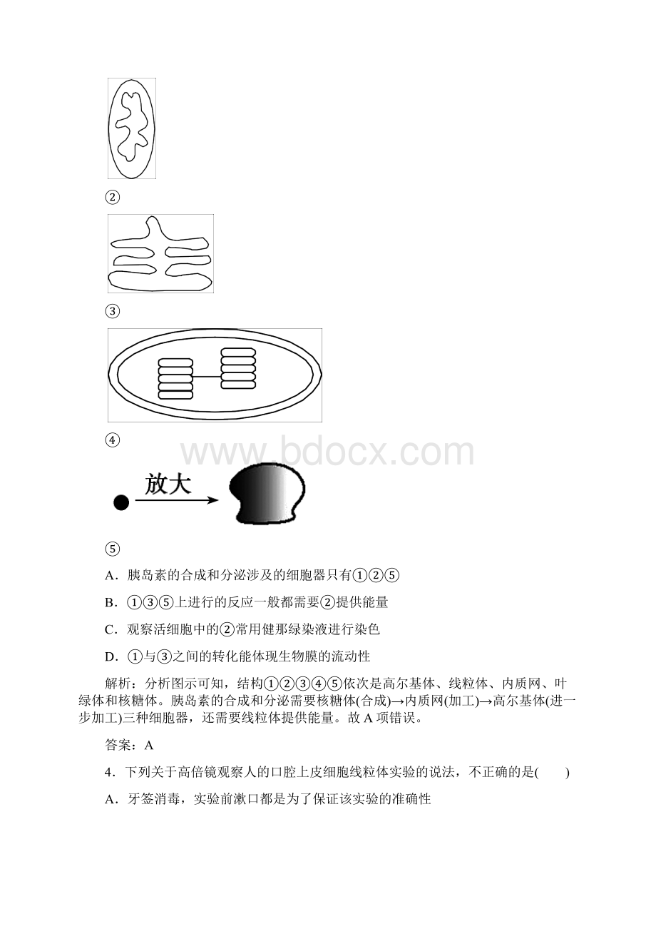 状元之路届高考生物一轮复习 开卷速查 32 细胞器系统内的分工合作 新人教版必修1.docx_第2页