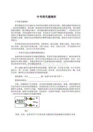 中考探究题精析Word文档下载推荐.docx