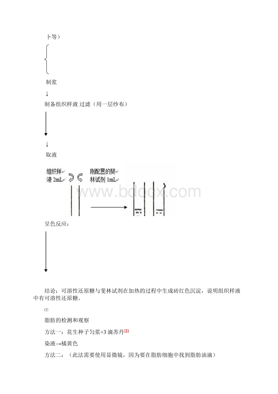 高中生物学业水平测试必修13实验.docx_第2页