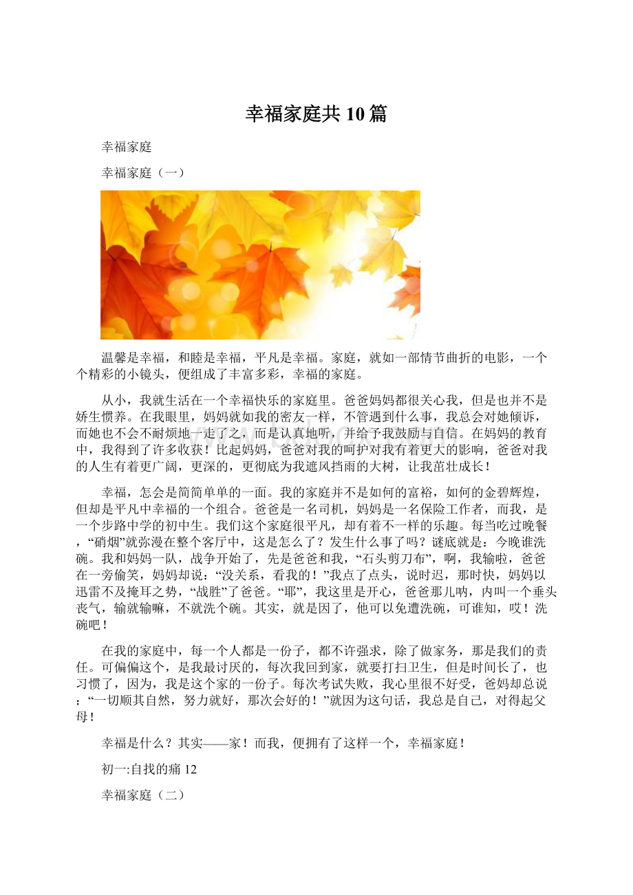 幸福家庭共10篇Word文档下载推荐.docx