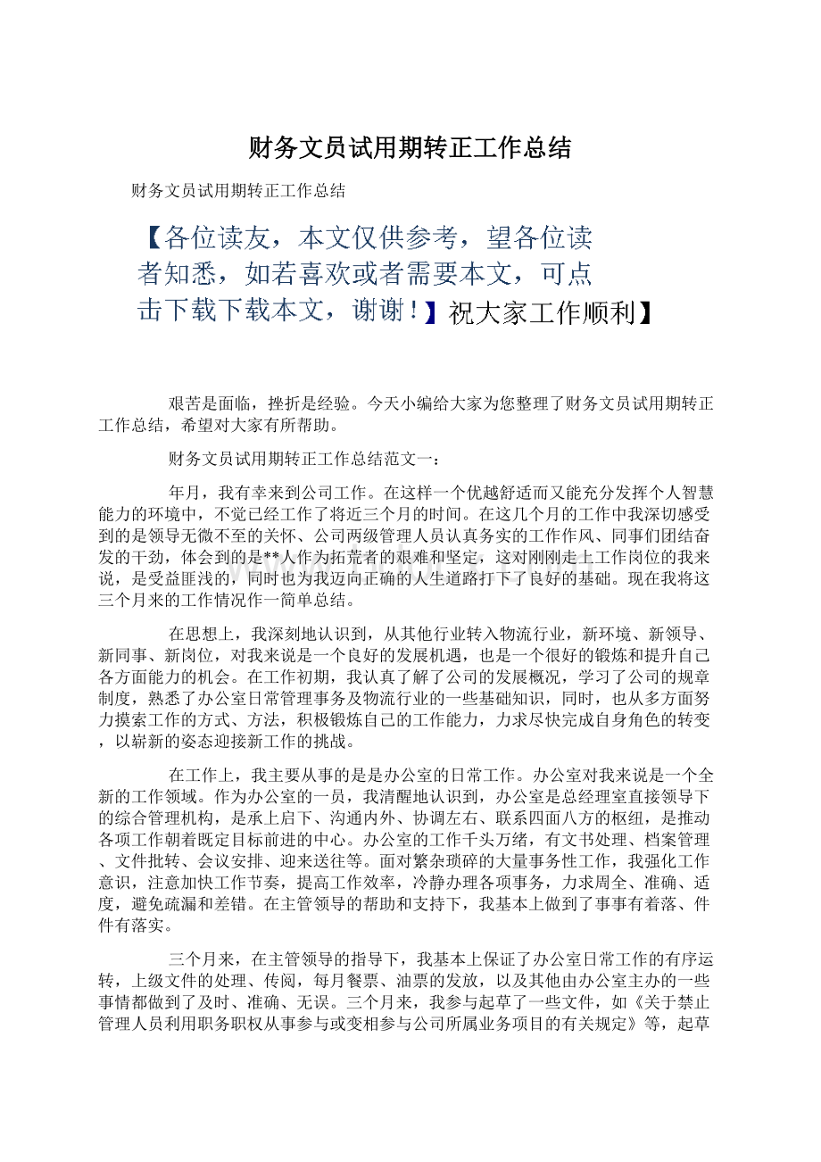 财务文员试用期转正工作总结.docx