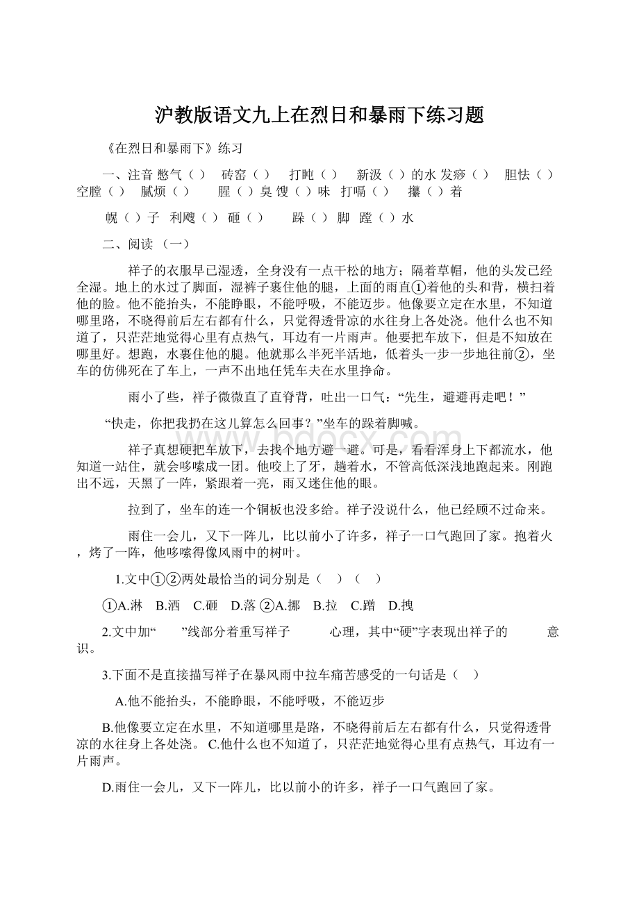 沪教版语文九上在烈日和暴雨下练习题.docx