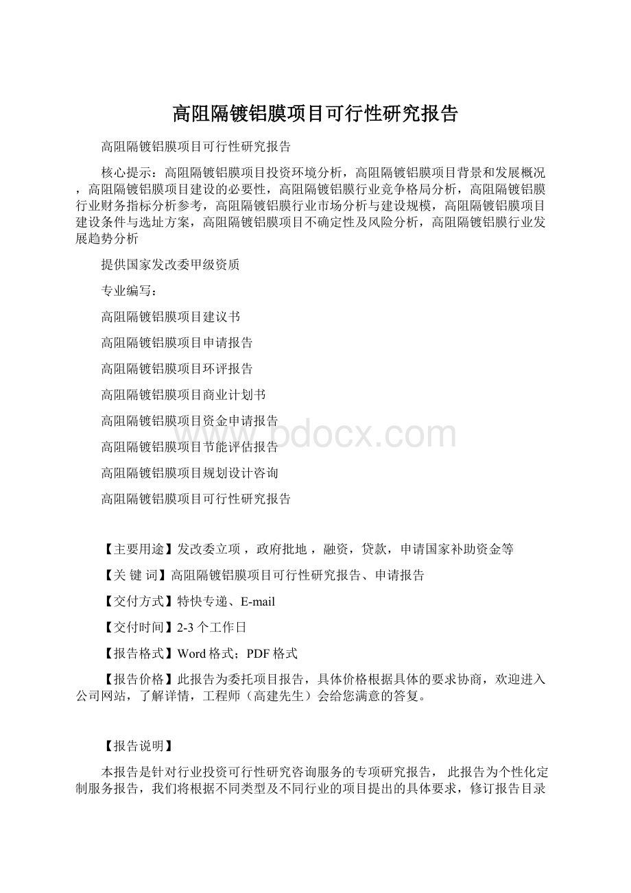 高阻隔镀铝膜项目可行性研究报告.docx