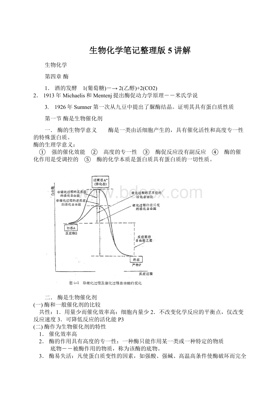 生物化学笔记整理版5讲解Word格式文档下载.docx_第1页