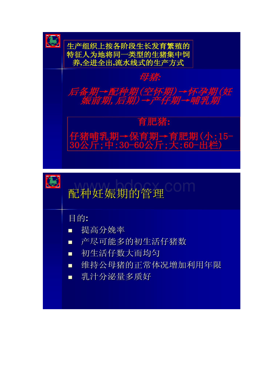 标准化种猪场生产管理.docx_第2页