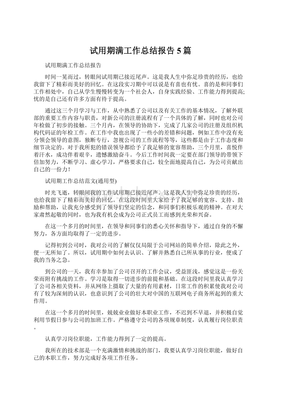 试用期满工作总结报告5篇Word文档格式.docx