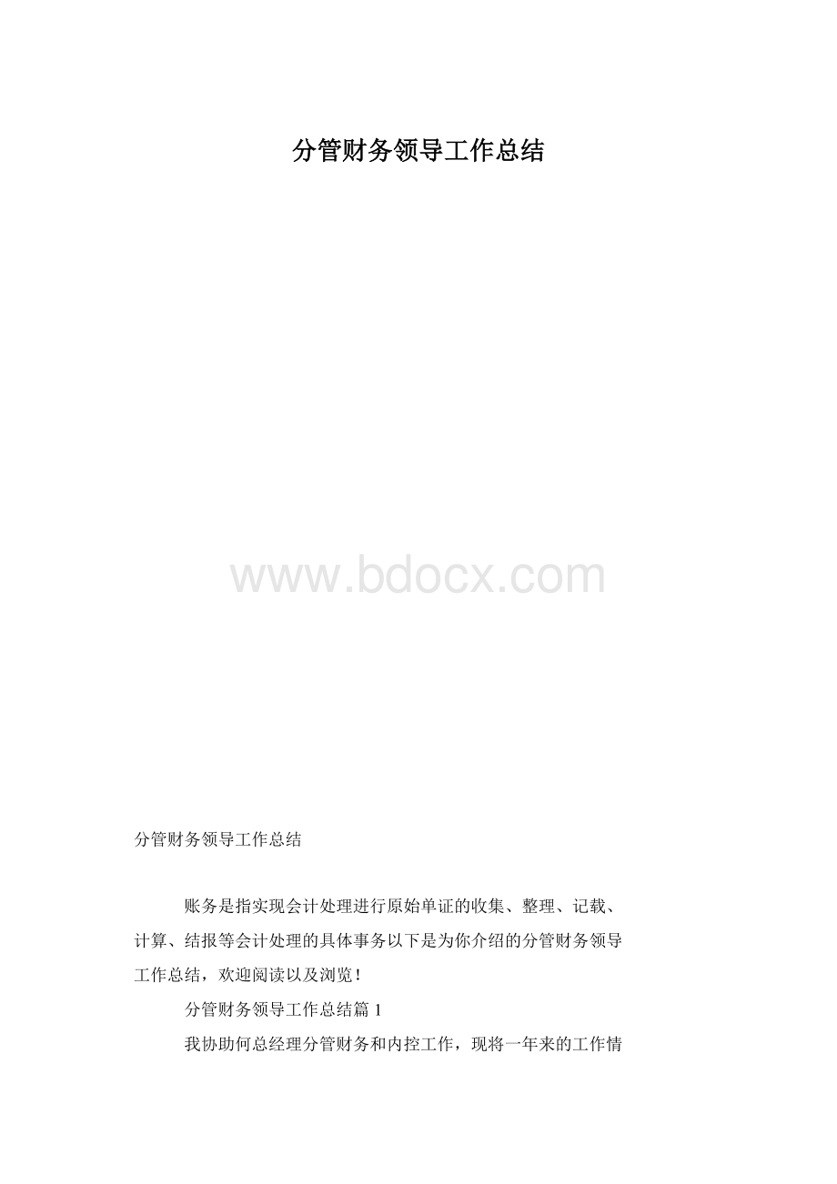 分管财务领导工作总结文档格式.docx