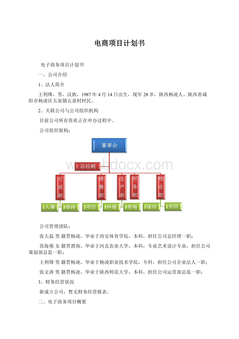 电商项目计划书.docx