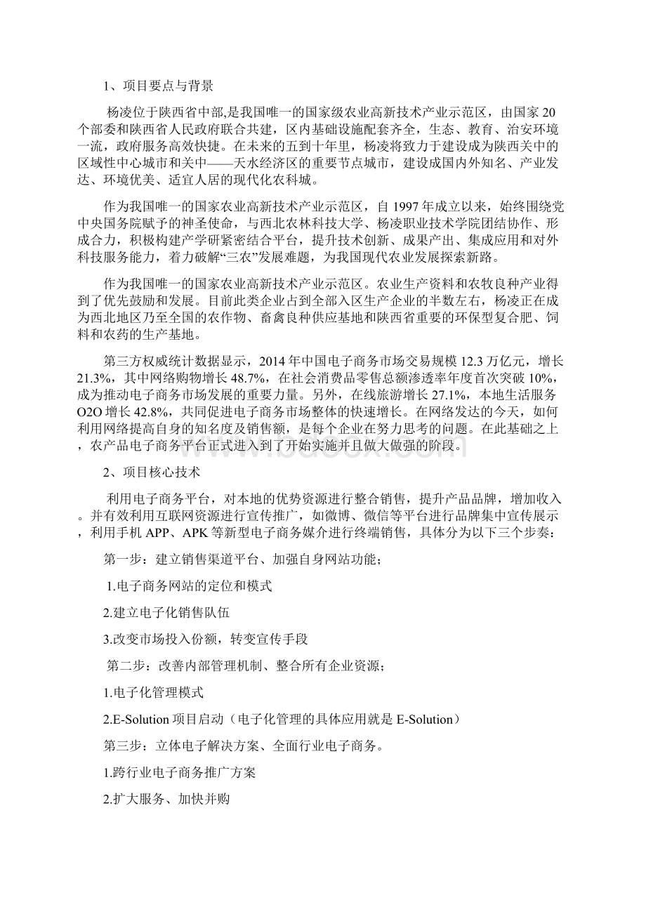 电商项目计划书Word格式文档下载.docx_第2页