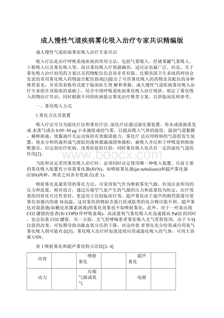 成人慢性气道疾病雾化吸入治疗专家共识精编版文档格式.docx