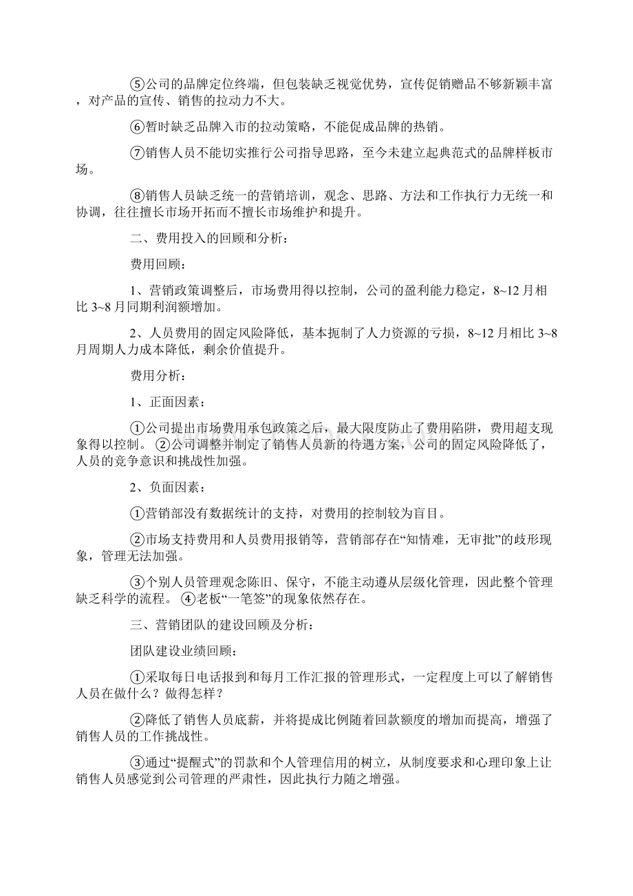 销售总监的工作总结Word文档下载推荐.docx_第2页