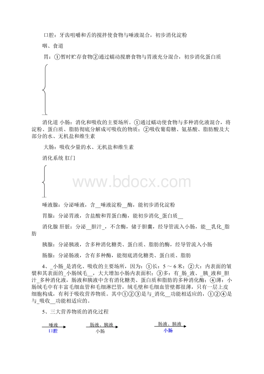 初一下生物复习知识点精华Word文件下载.docx_第2页