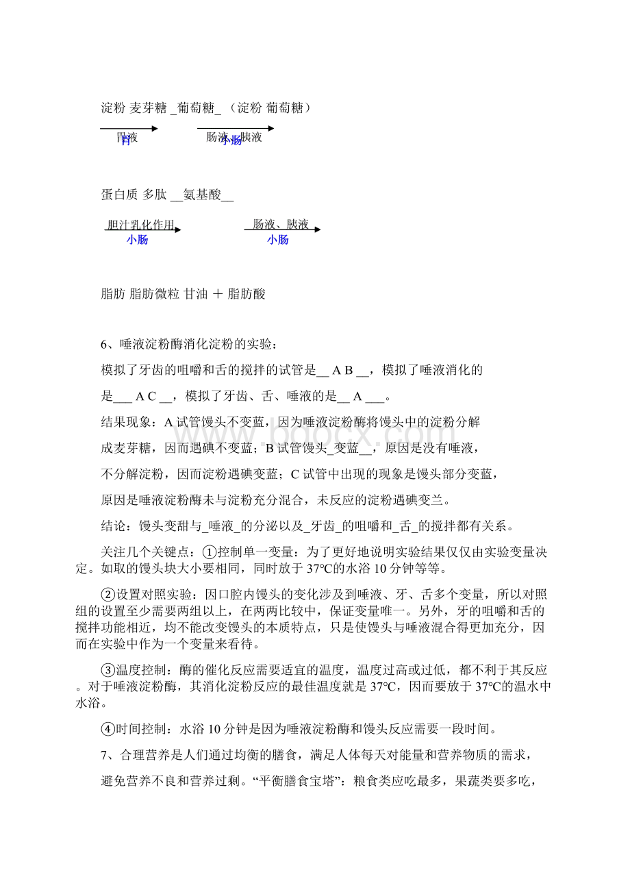 初一下生物复习知识点精华Word文件下载.docx_第3页