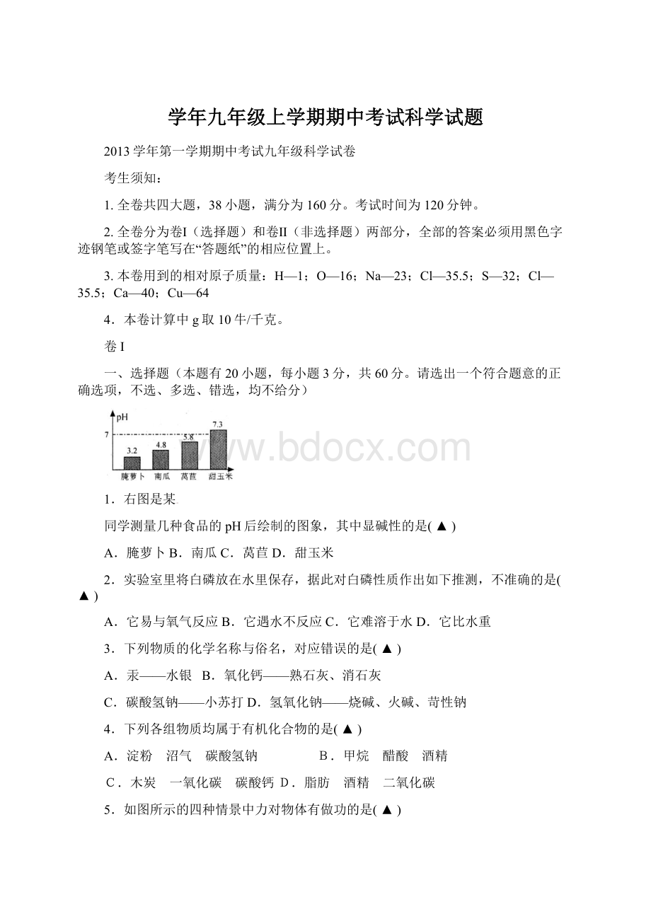 学年九年级上学期期中考试科学试题.docx