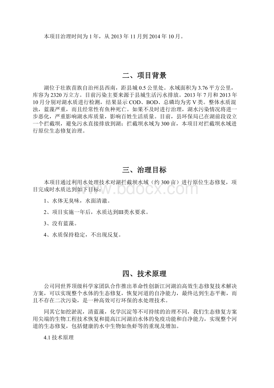 水污染治理项目方案.docx_第2页