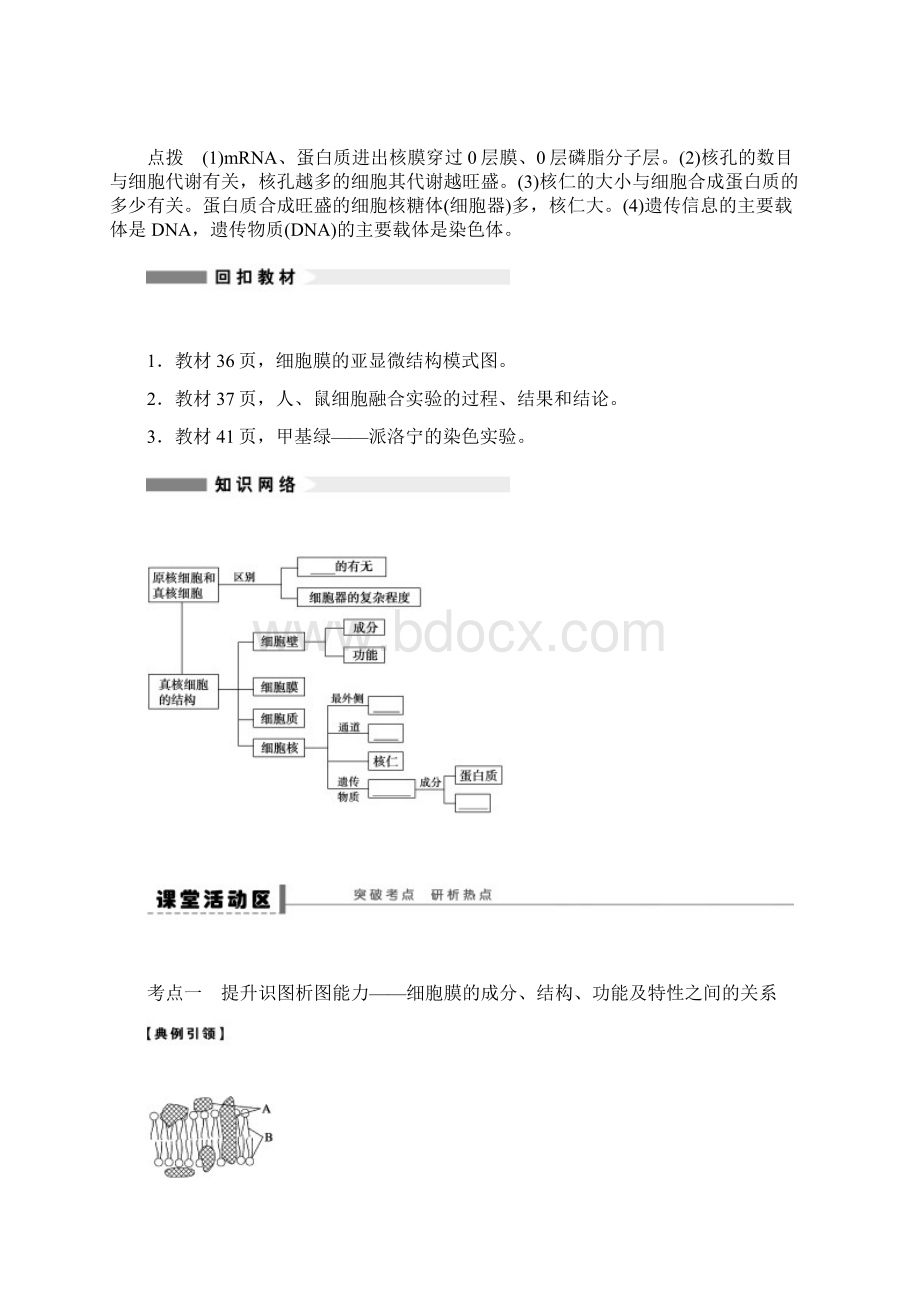 生物第二单元第05课时文档格式.docx_第2页