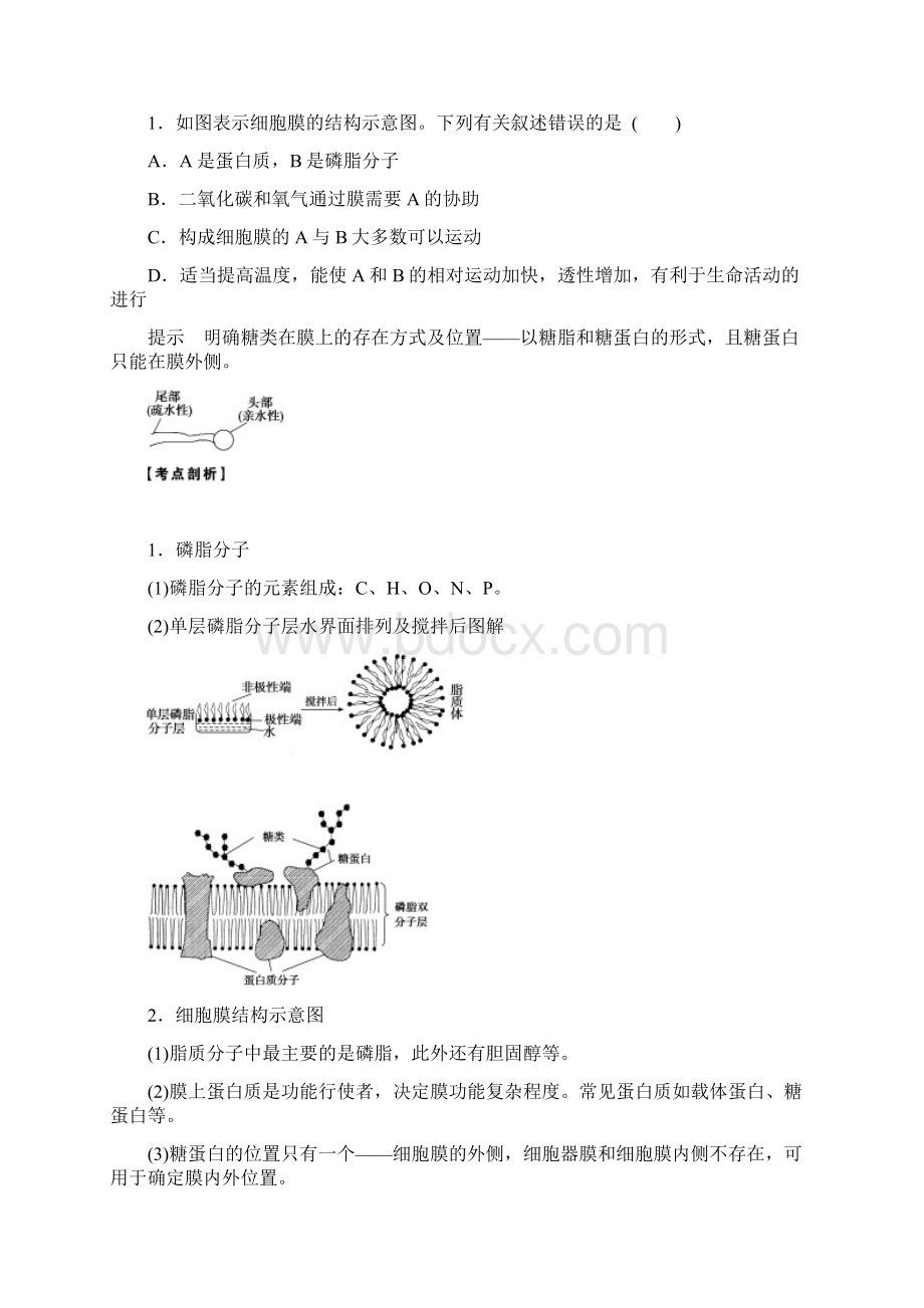 生物第二单元第05课时文档格式.docx_第3页