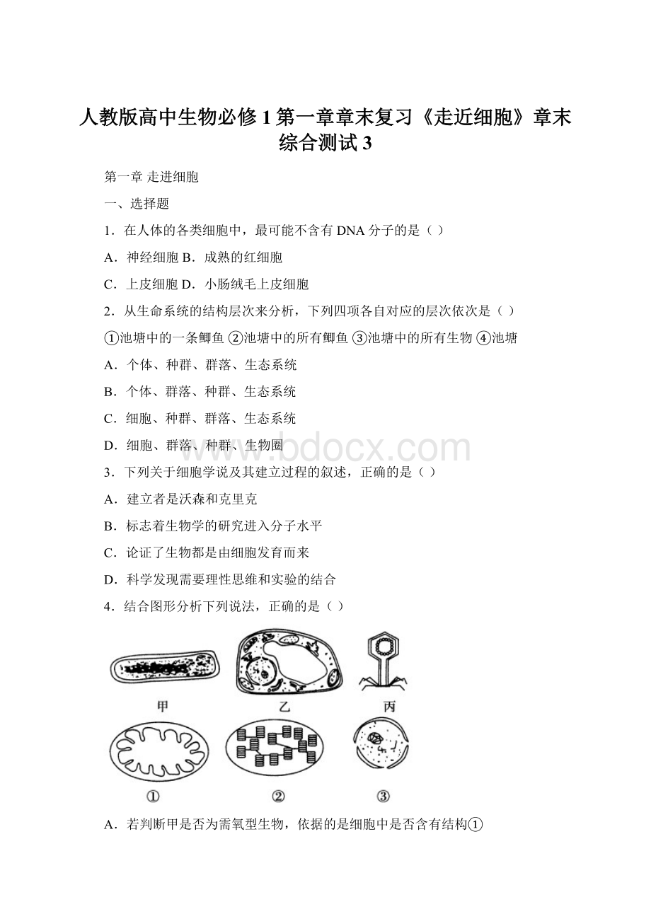 人教版高中生物必修1第一章章末复习《走近细胞》章末综合测试3.docx_第1页