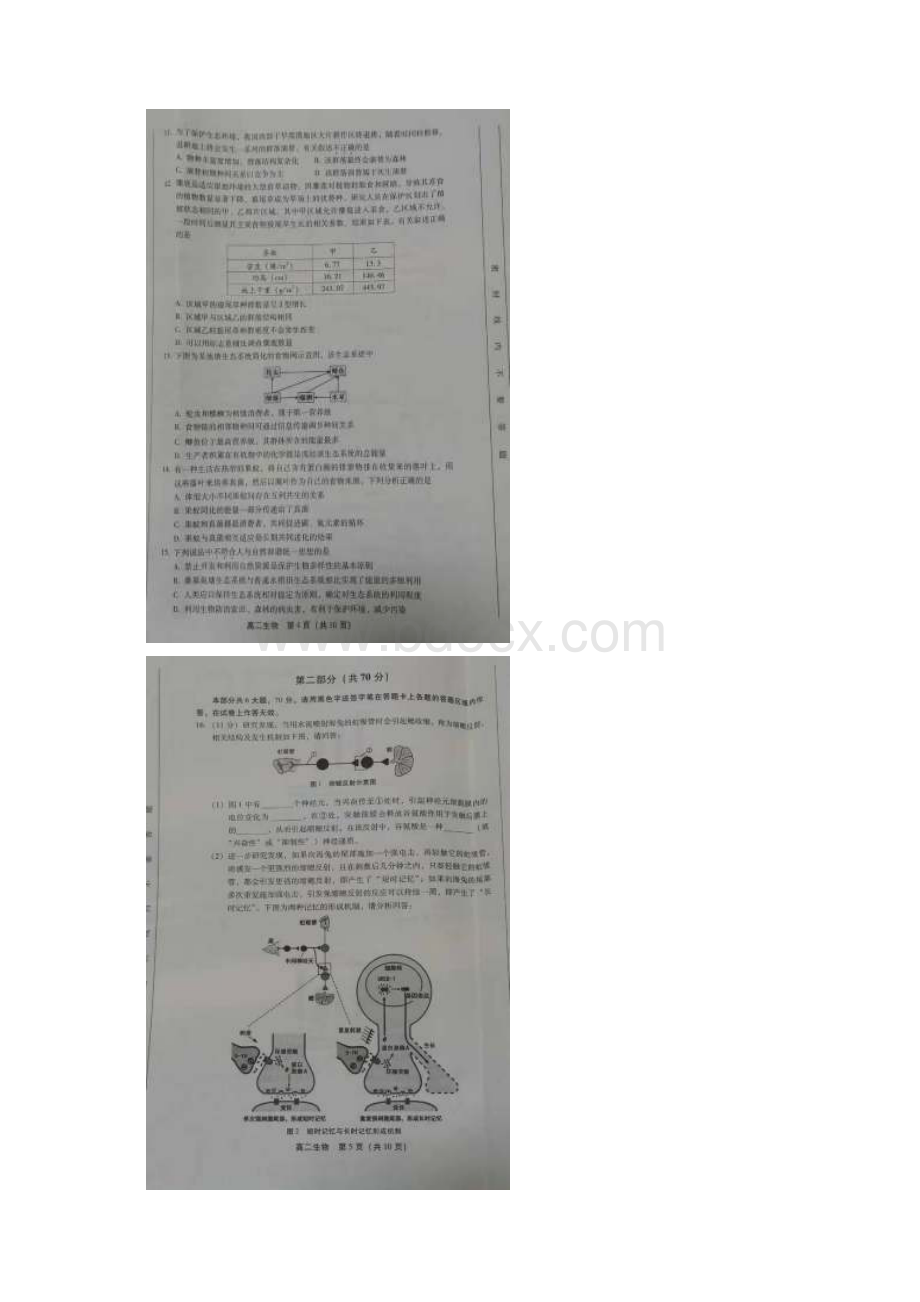 北京市学年高二生物上学期期末练习试题扫描版Word格式文档下载.docx_第3页