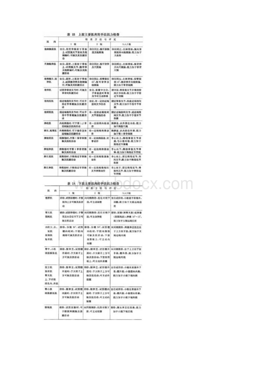 最新肌力测定方法Word文档格式.docx_第2页