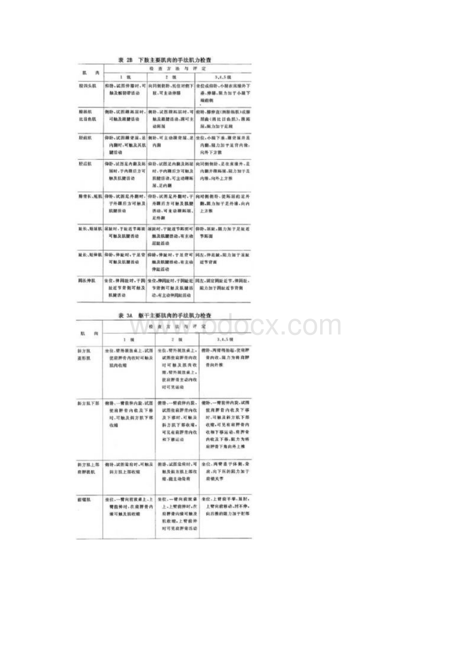 最新肌力测定方法Word文档格式.docx_第3页