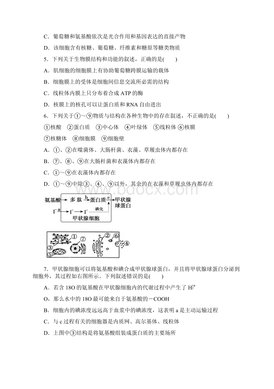 山东省兖州市高三入校模拟生物试题文档格式.docx_第2页