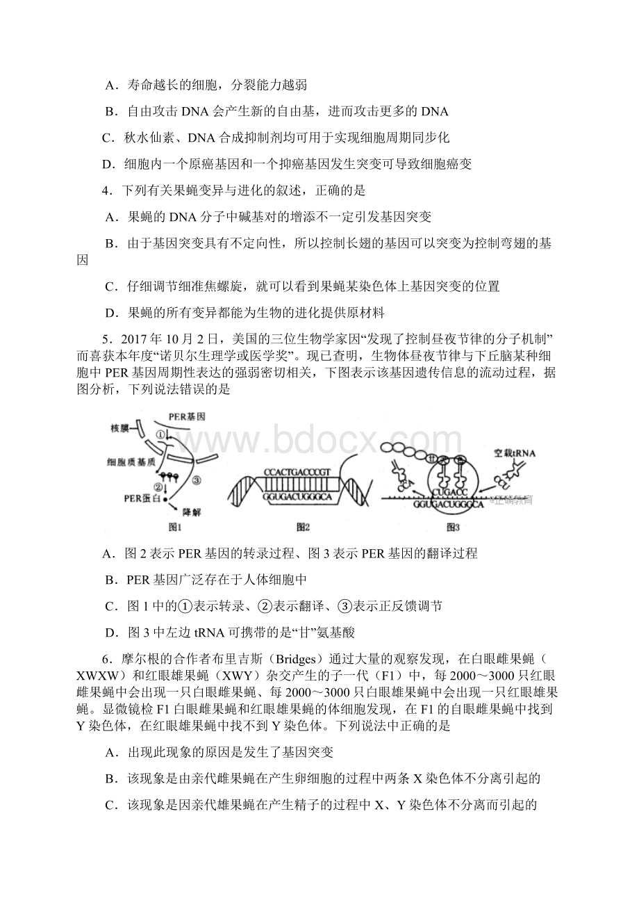 学年高三理综第一次联合考试试题doc.docx_第2页