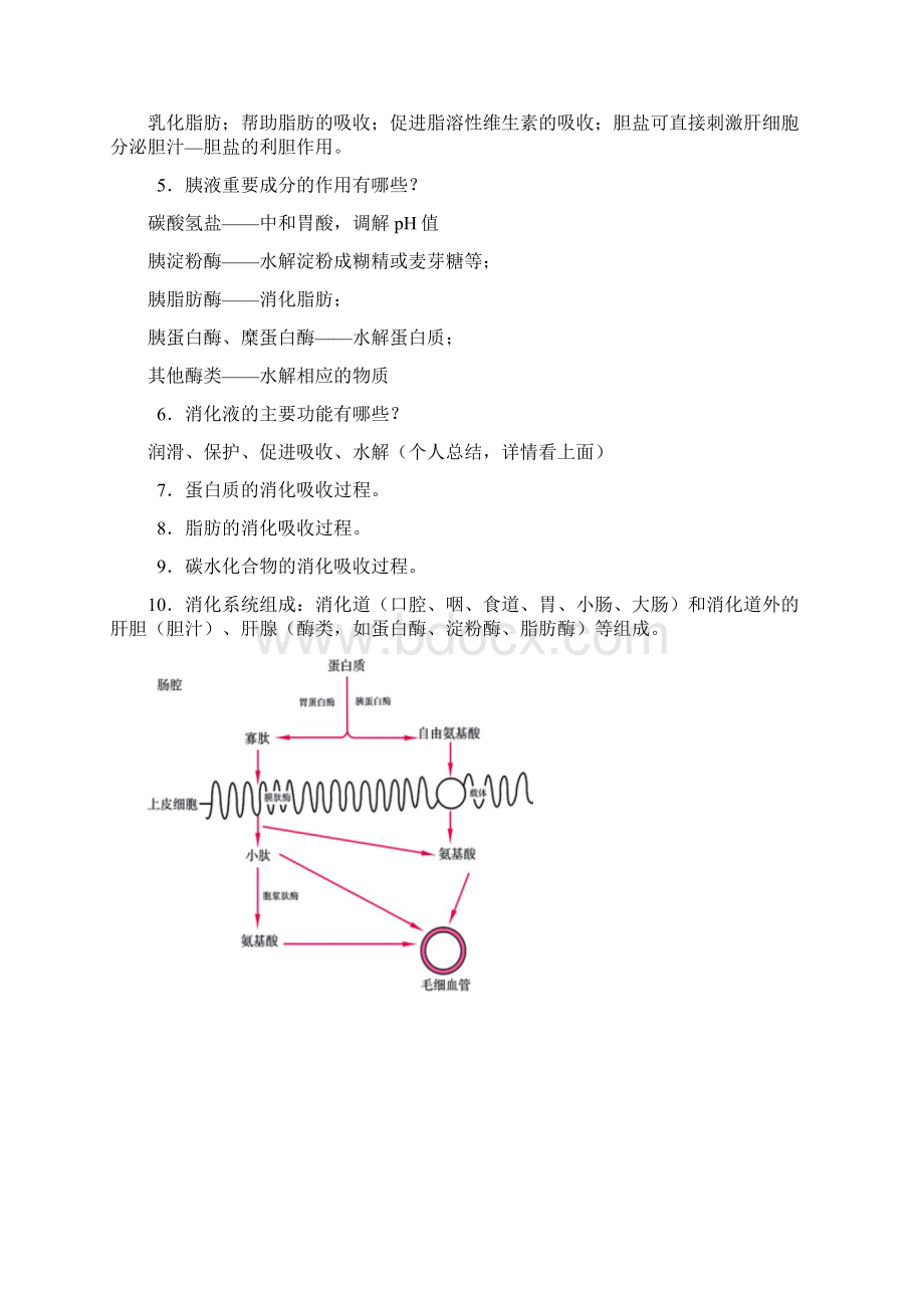 营养学重点.docx_第3页