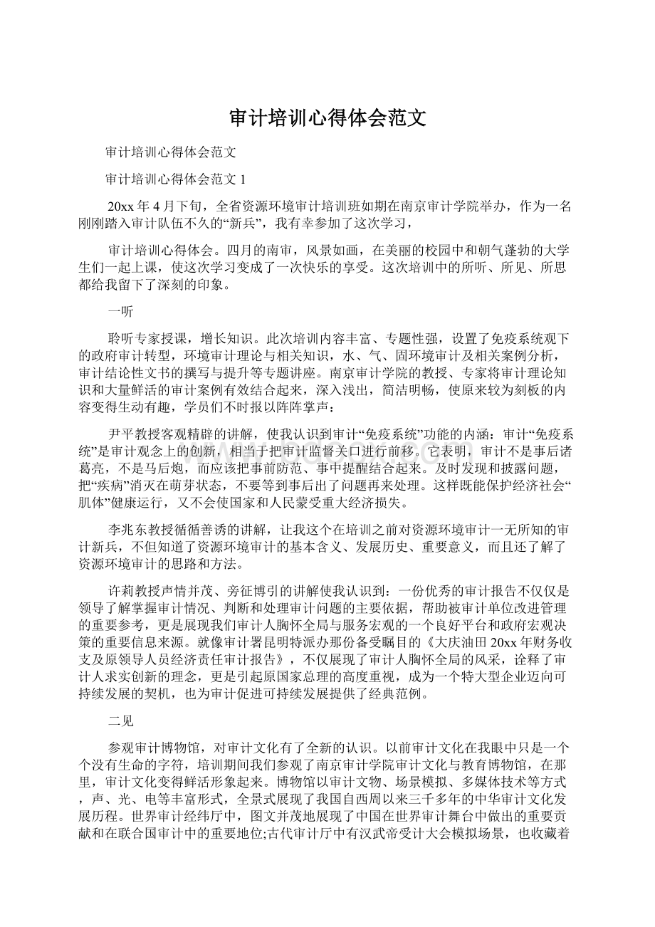 审计培训心得体会范文Word文档下载推荐.docx