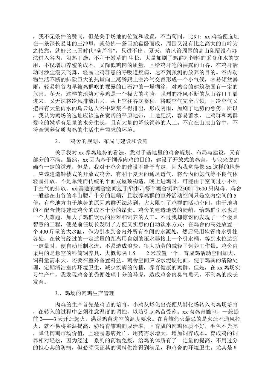 肉鸡实习报告3篇实习报告docWord下载.docx_第2页