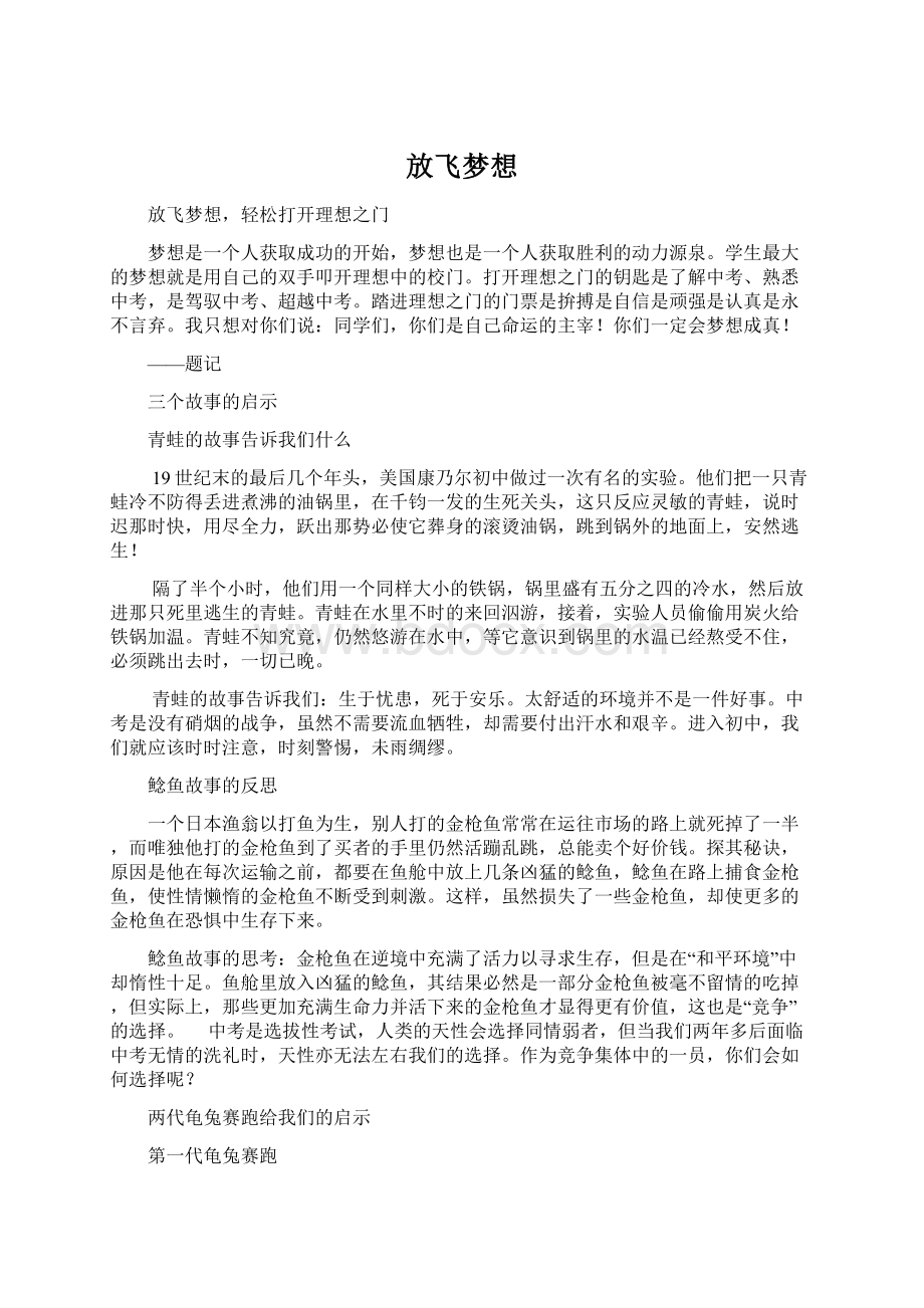 放飞梦想文档格式.docx