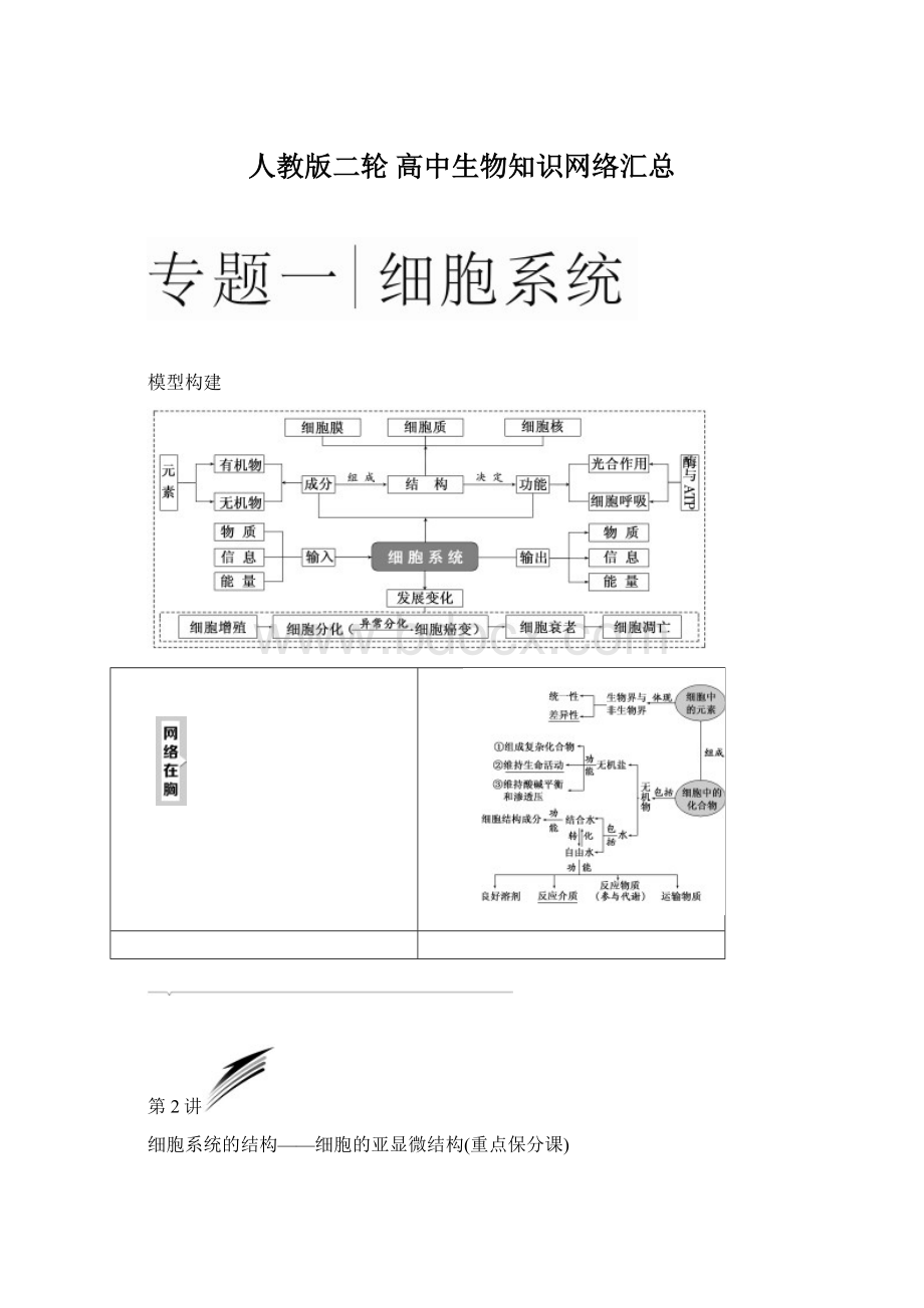 人教版二轮 高中生物知识网络汇总Word格式.docx