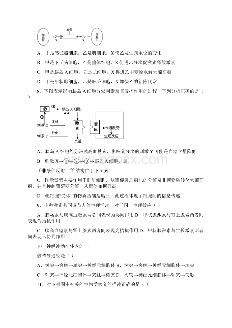 高二生物上学期第二次月考试题无解答.docx_第3页