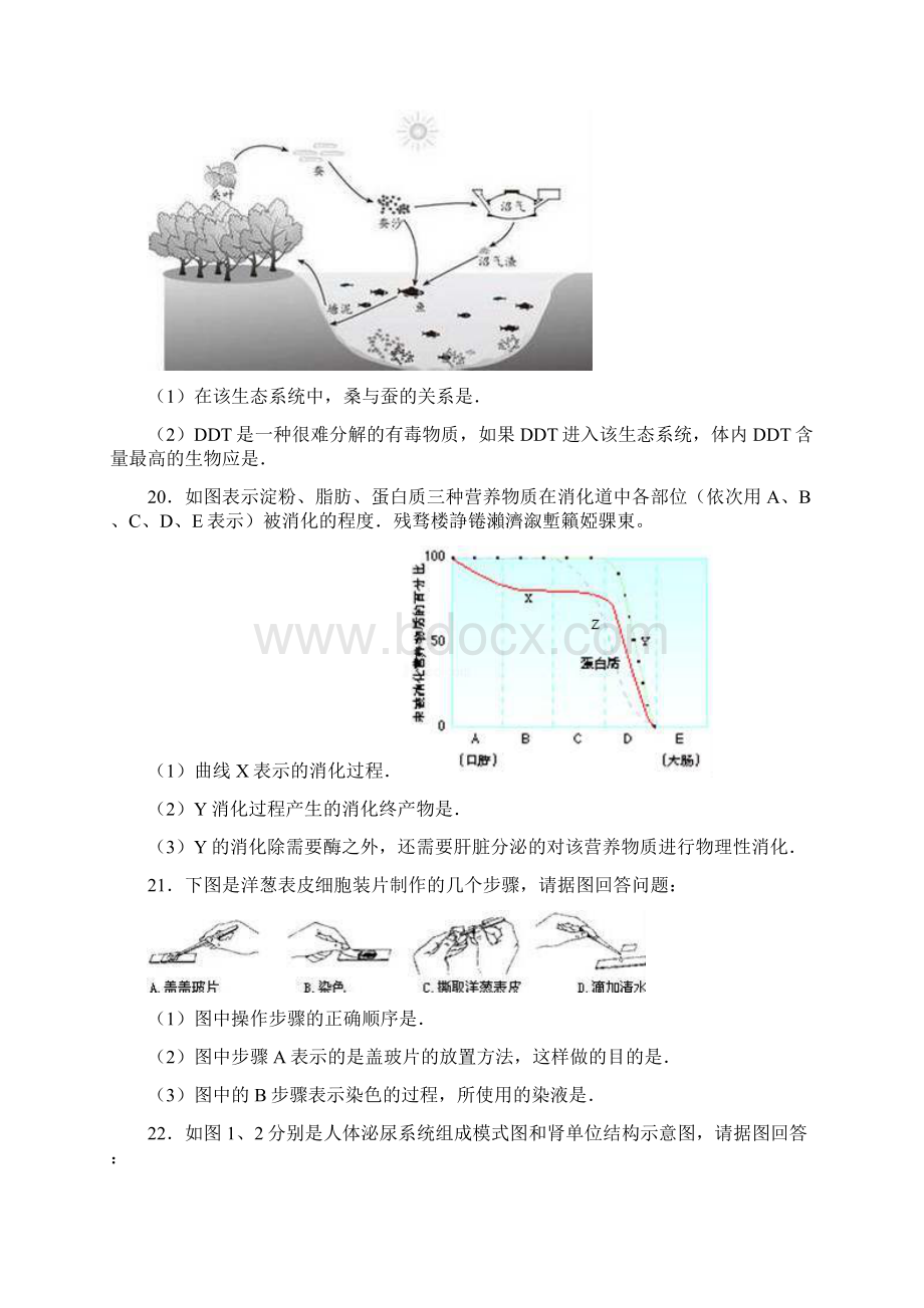 揭阳市九年级生物阶段测试题解析版.docx_第3页