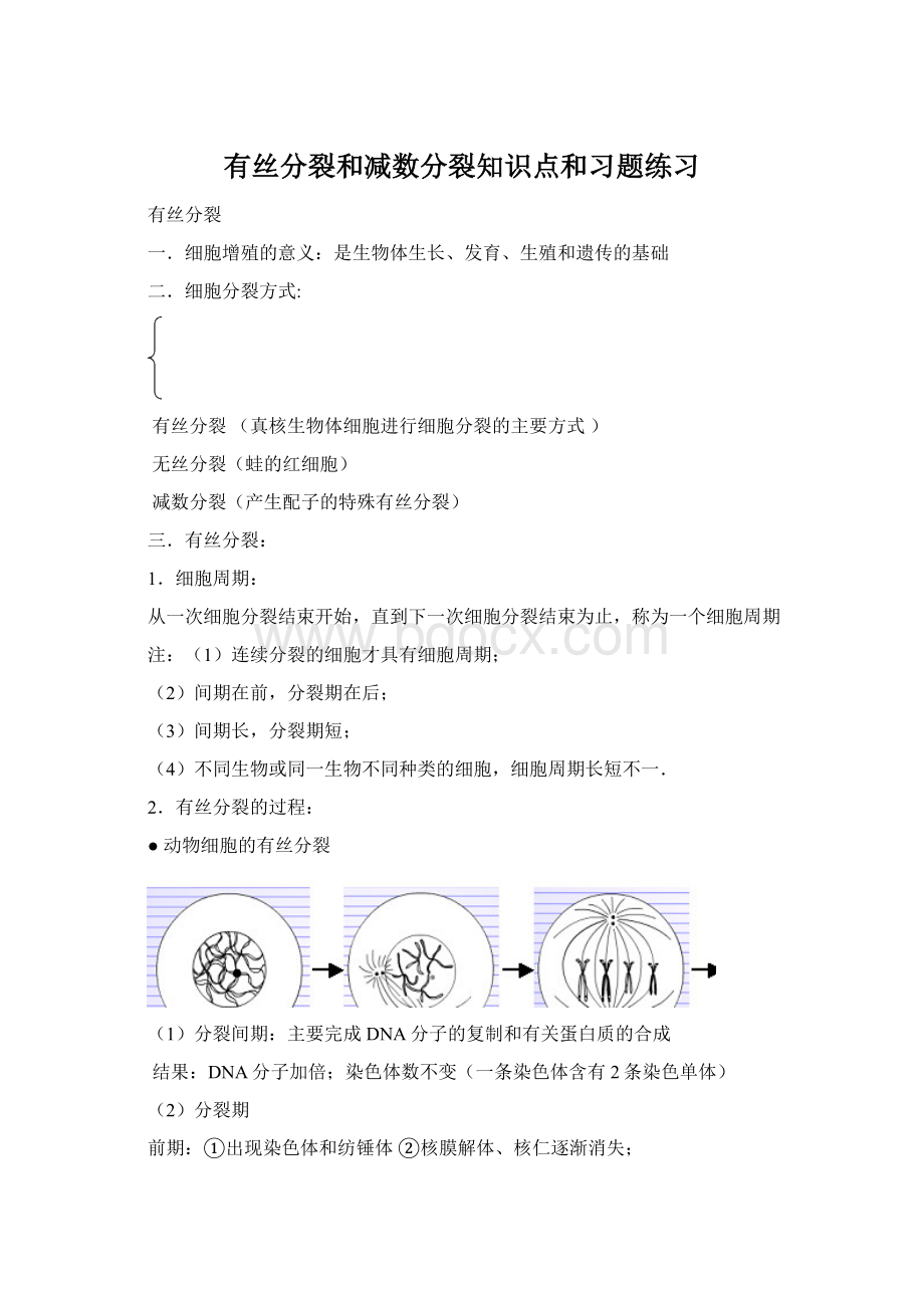 有丝分裂和减数分裂知识点和习题练习.docx_第1页