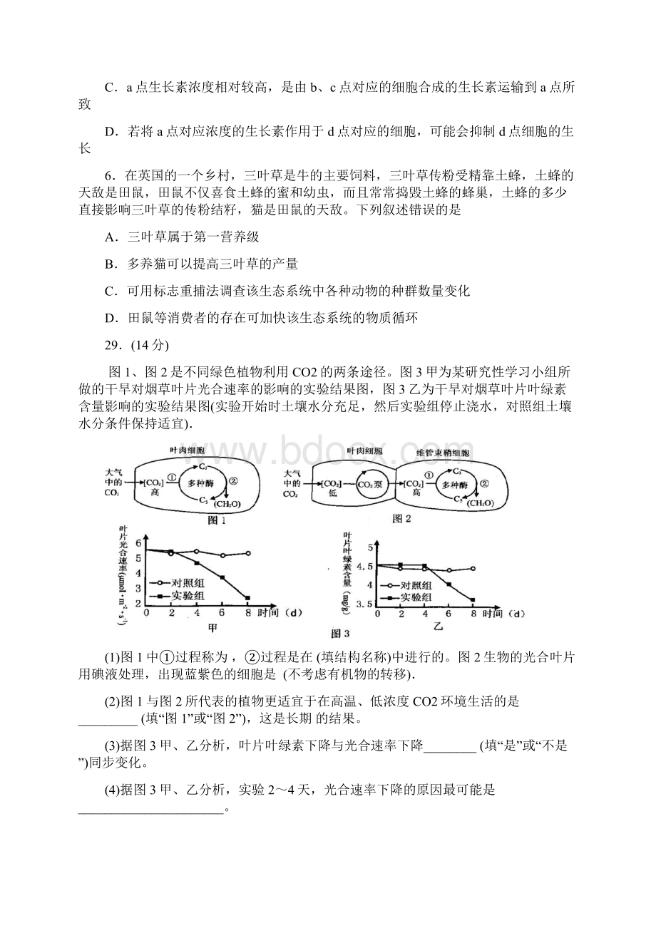 届山西省山大附中高三模拟生物试题及答案精Word格式文档下载.docx_第3页