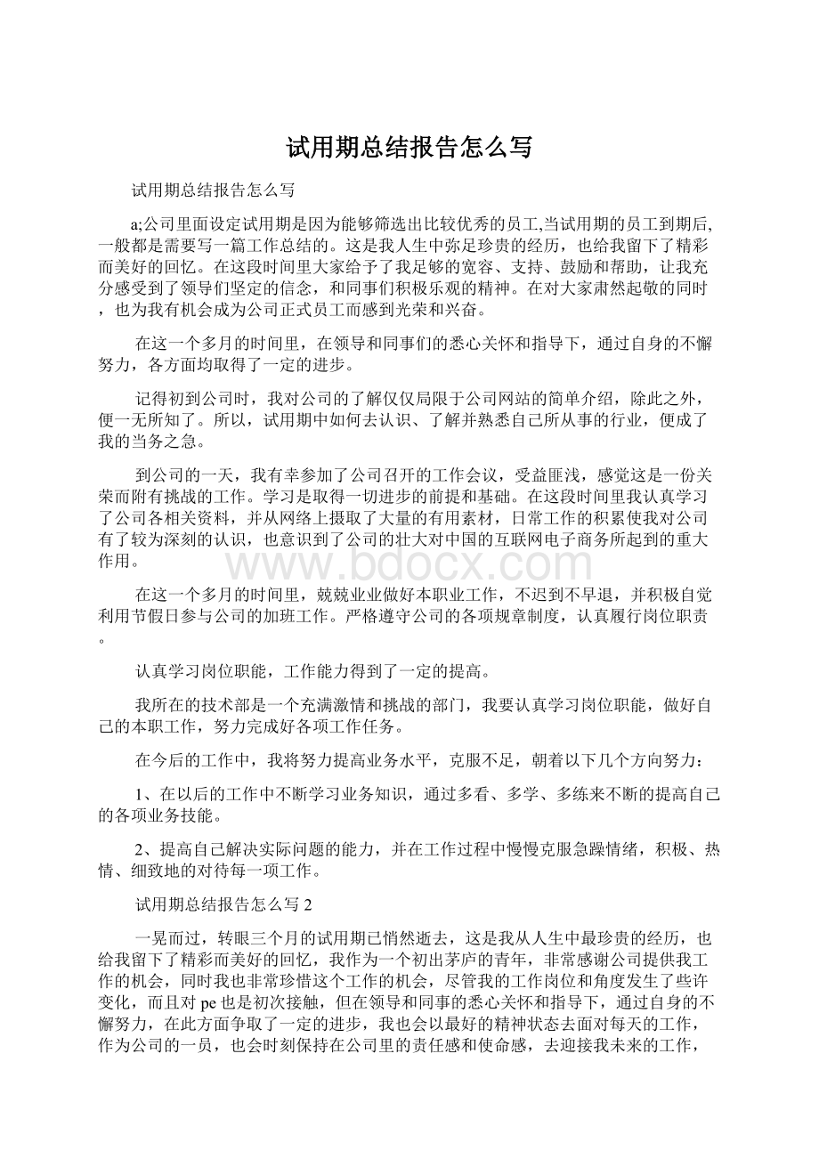 试用期总结报告怎么写.docx