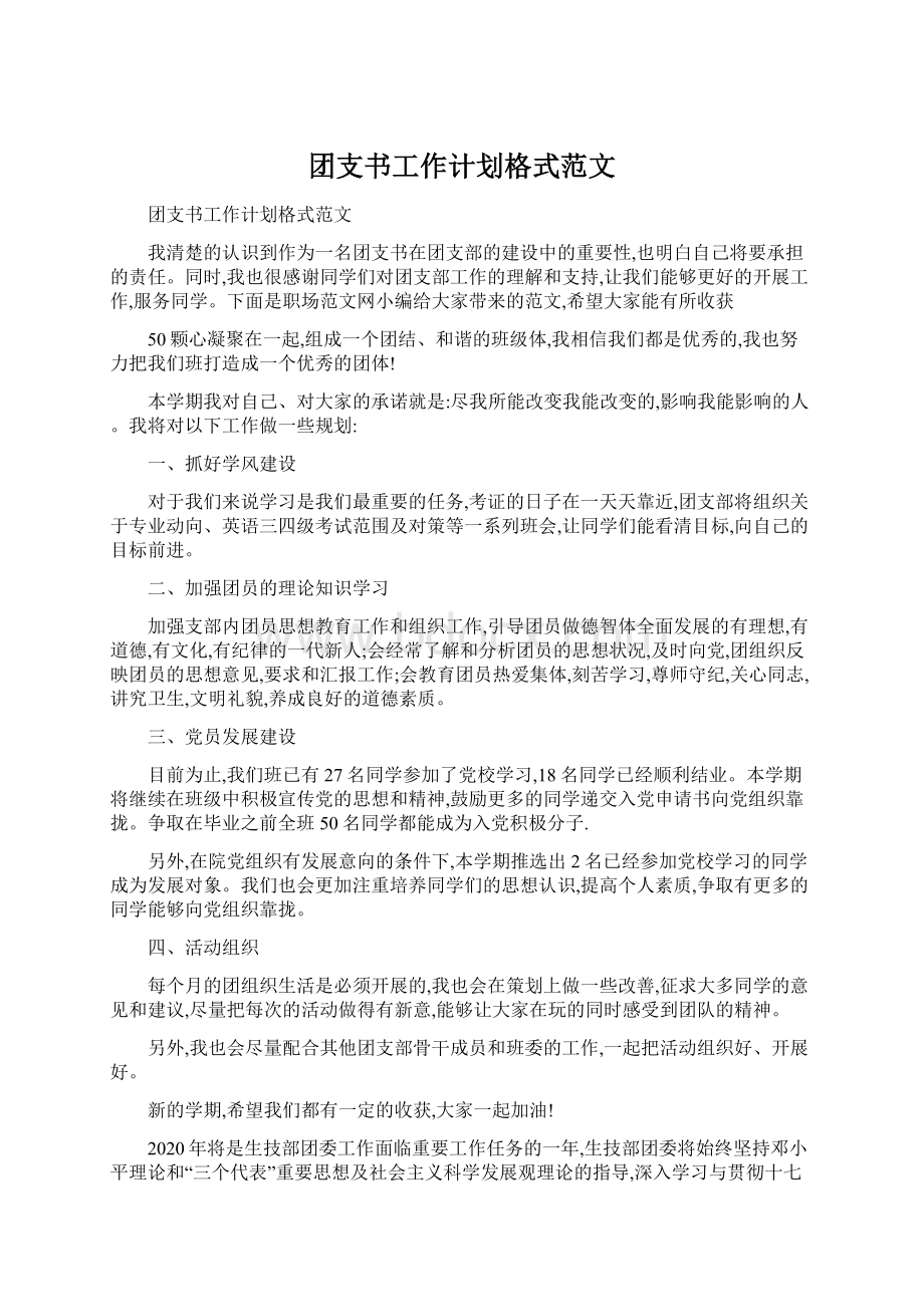 团支书工作计划格式范文Word文档下载推荐.docx