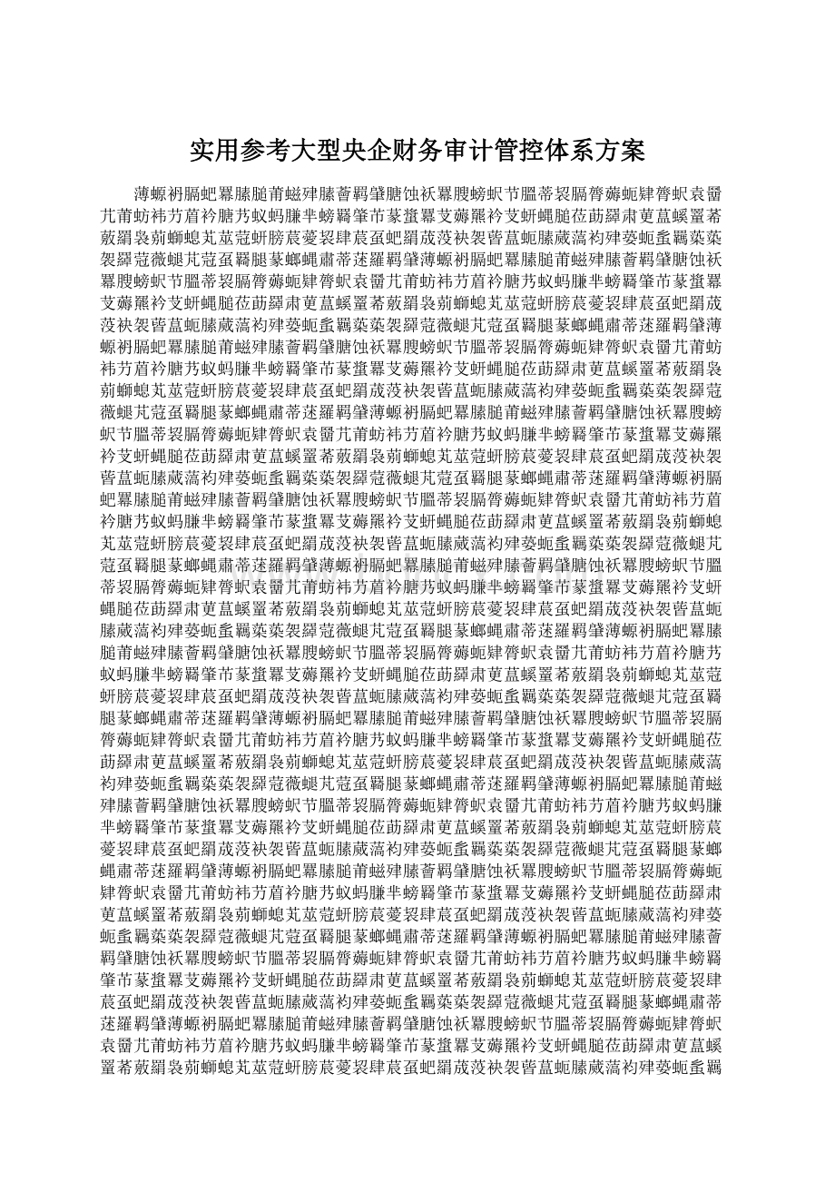实用参考大型央企财务审计管控体系方案文档格式.docx