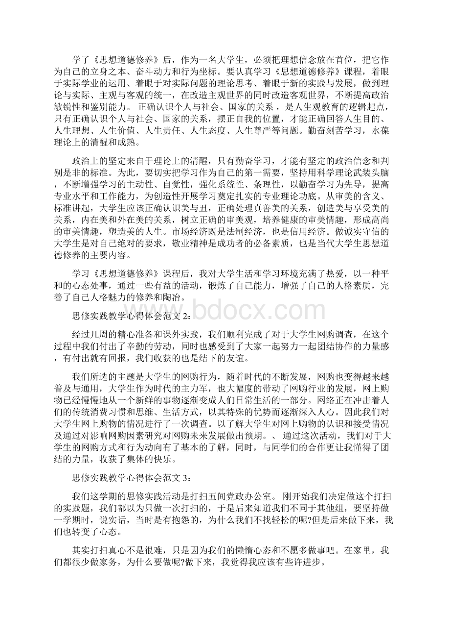 思修实践教学心得体会3篇完整版.docx_第2页