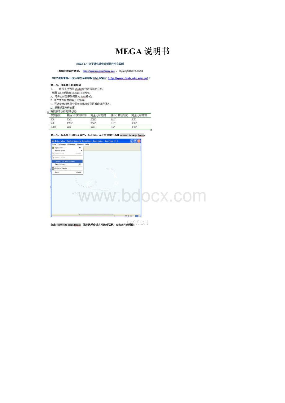 MEGA说明书Word文档格式.docx