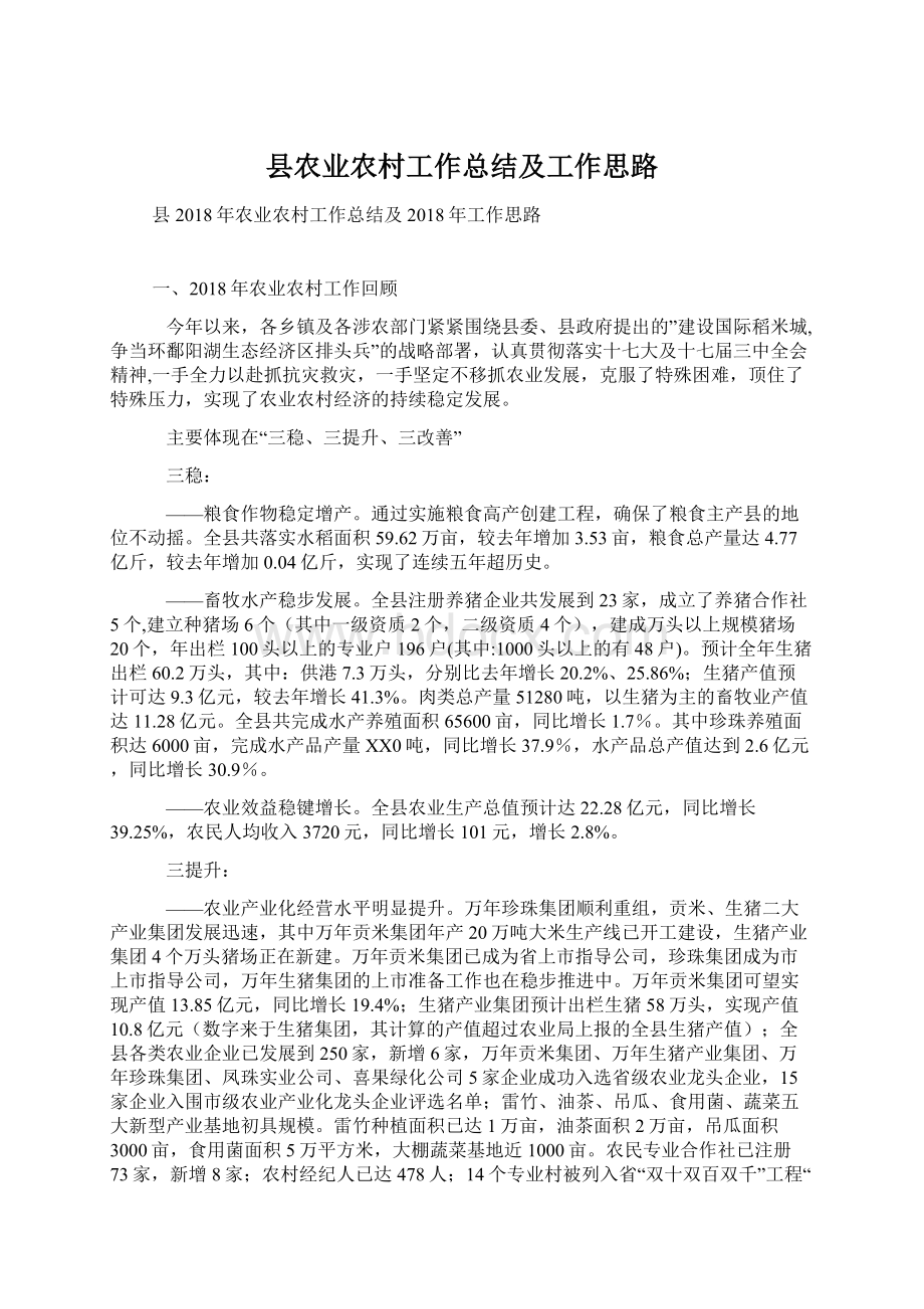 县农业农村工作总结及工作思路Word文档下载推荐.docx