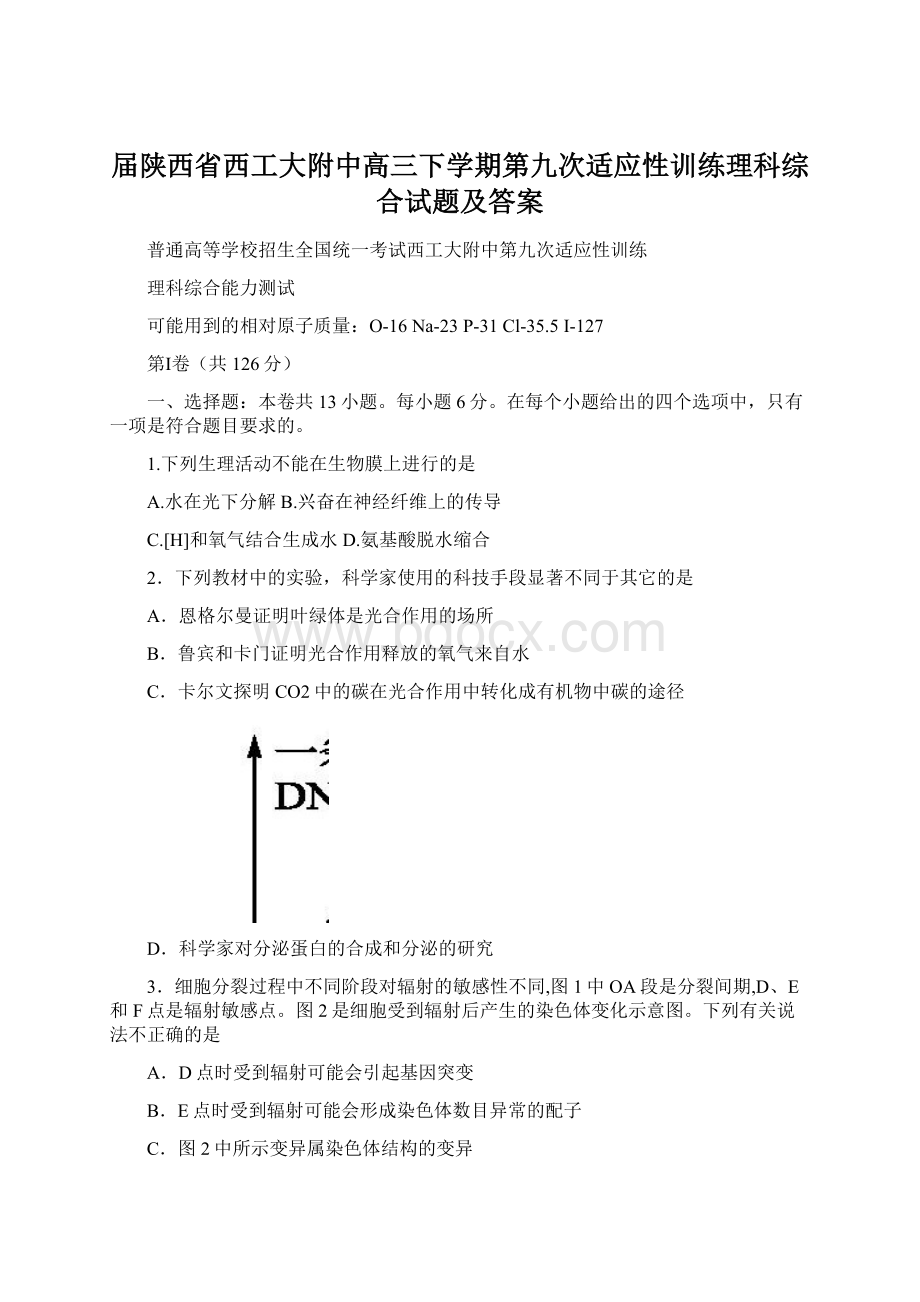 届陕西省西工大附中高三下学期第九次适应性训练理科综合试题及答案.docx