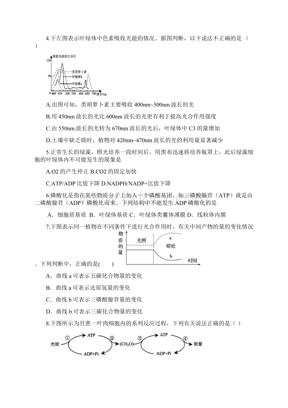 光合作用训练题.docx_第2页