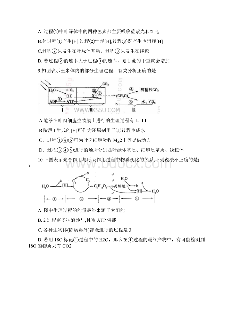 光合作用训练题.docx_第3页