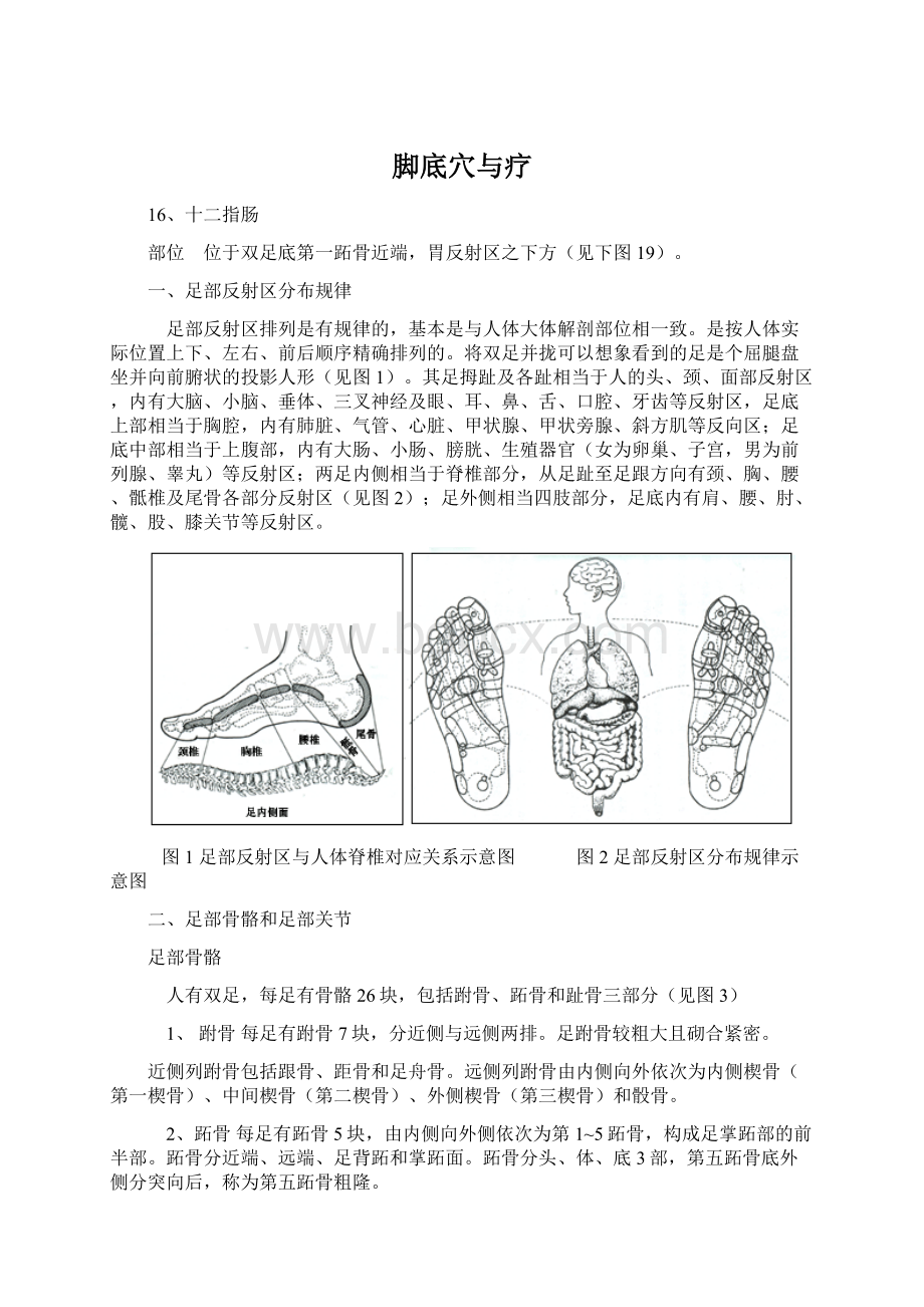 脚底穴与疗文档格式.docx