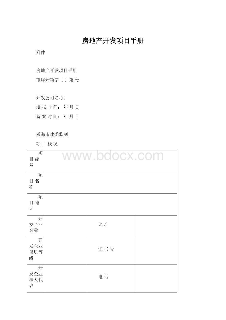 房地产开发项目手册Word文档格式.docx