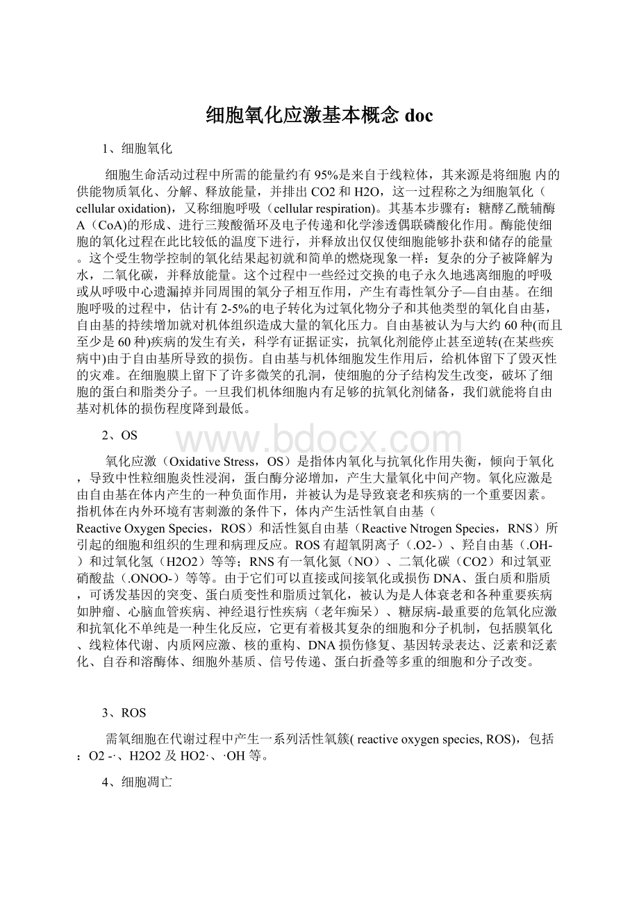 细胞氧化应激基本概念doc.docx_第1页